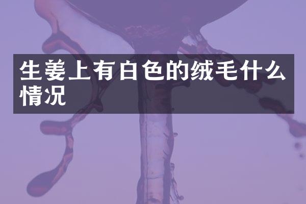 生姜上有白色的绒毛什么情况