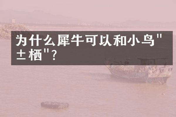 为什么犀牛可以和小鸟"共栖"?