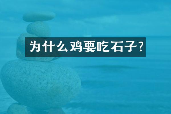 为什么鸡要吃石子?
