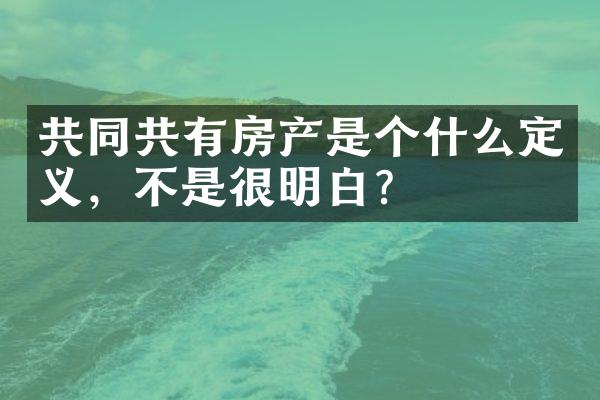 共同共有房产是个什么定义，不是很明白？