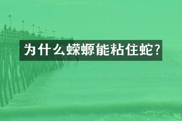 为什么蝾螈能粘住蛇?