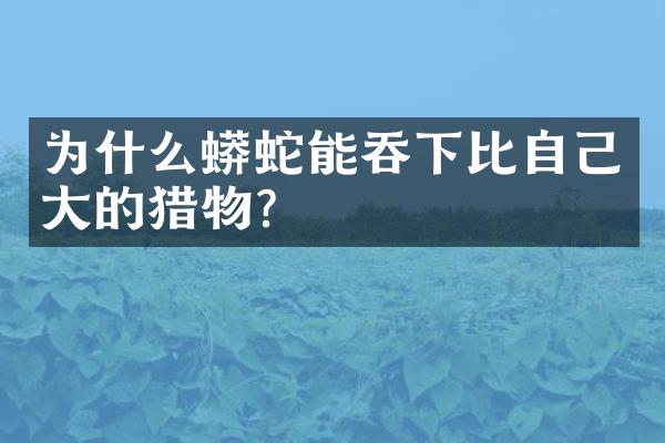 为什么蟒蛇能吞下比自己大的猎物?