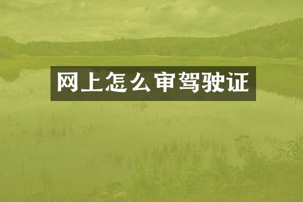 网上怎么审驾驶证