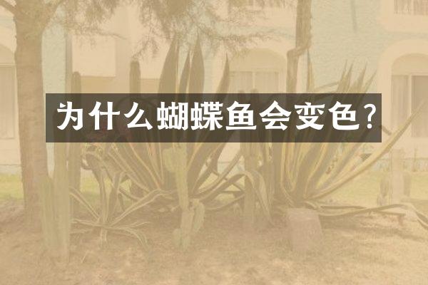 为什么蝴蝶鱼会变色?