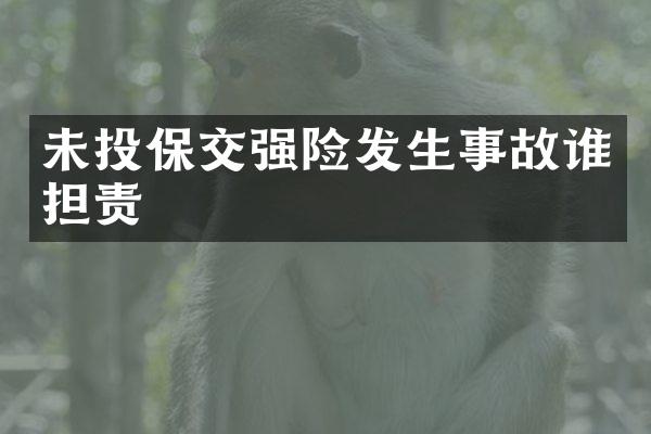 未投保交强险发生事故谁担责