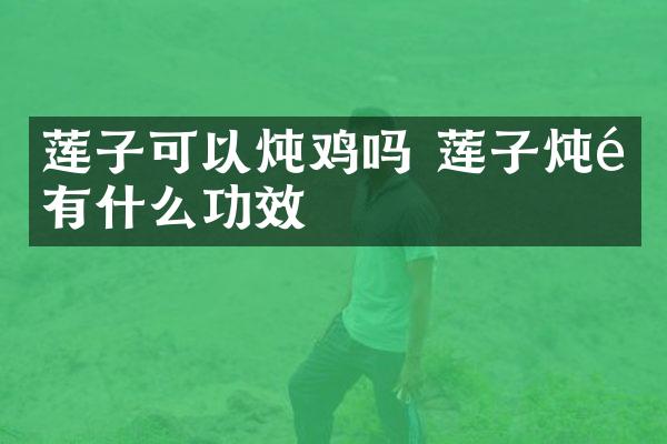 莲子可以炖鸡吗 莲子炖鸡有什么功效
