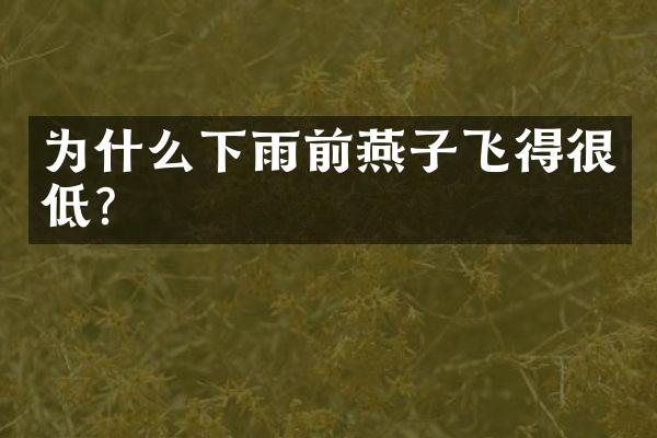 为什么下雨前燕子飞得很低？