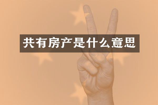 共有房产是什么意思