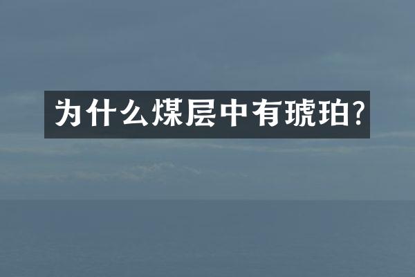 为什么煤层中有琥珀?