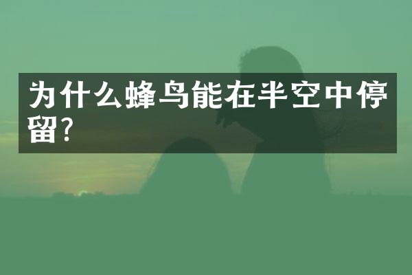 为什么蜂鸟能在半空中停留?