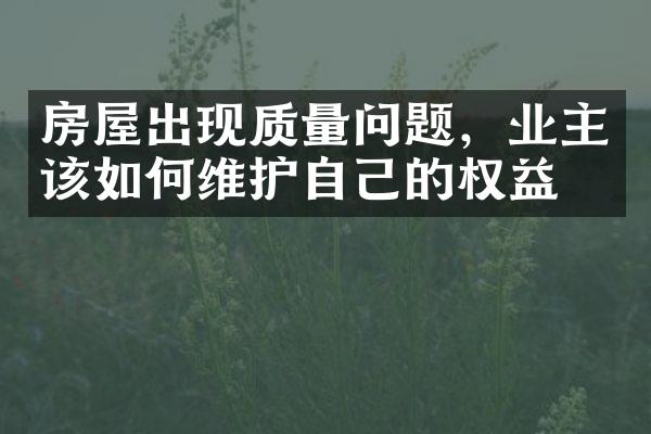 房屋出现质量问题，业主该如何维护自己的权益？