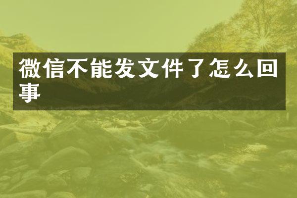 微信不能发文件了怎么回事