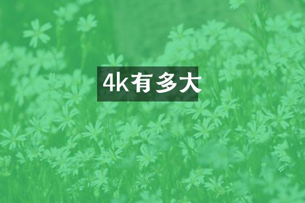 4k有多大