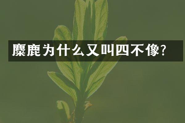 麋鹿为什么又叫四不像？
