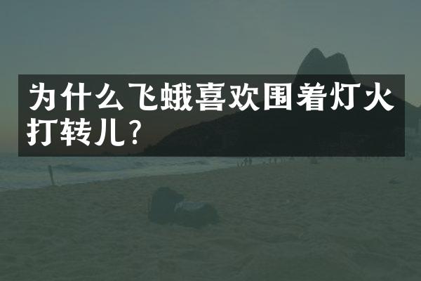 为什么飞蛾喜欢围着灯火打转儿？