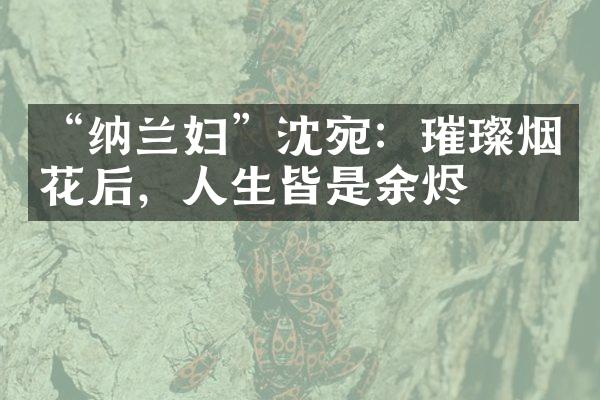 “纳兰妇”沈宛：璀璨烟花后，人生皆是余烬