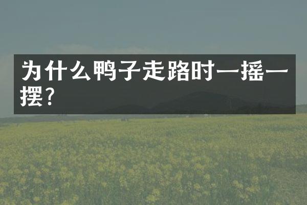 为什么鸭子走路时一摇一摆？