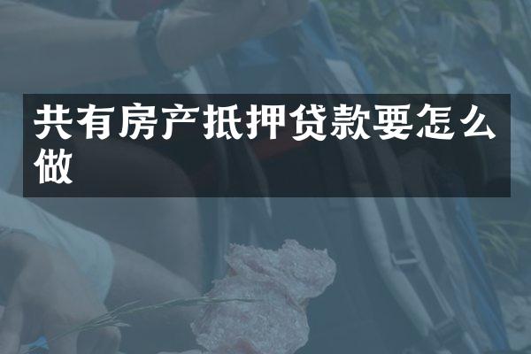 共有房产抵押贷款要怎么做