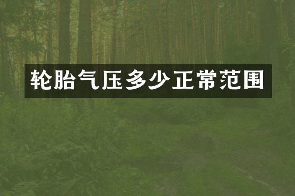 轮胎气压多少正常范围