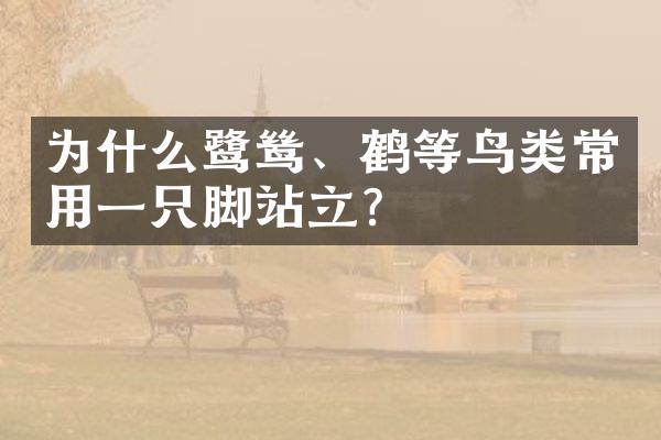 为什么鹭鸶、鹤等鸟类常用一只脚站立?