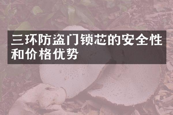 三环防盗门锁芯的安全性和价格优势