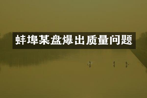 蚌埠某盘爆出质量问题
