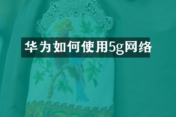 华为如何使用5g网络
