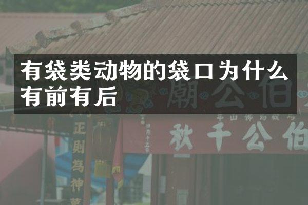 有袋类动物的袋口为什么有前有后
