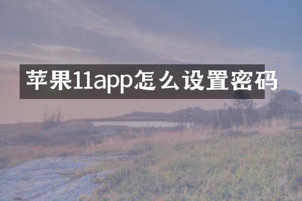 苹果11app怎么设置密码
