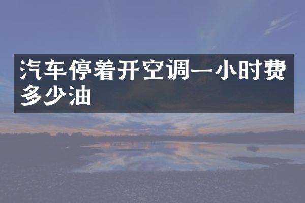 汽车停着开空调一小时费多少油