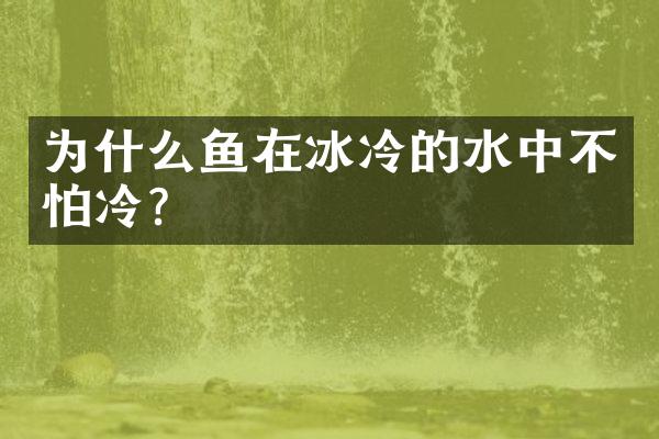 为什么鱼在冰冷的水中不怕冷?