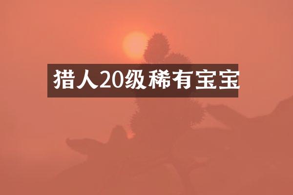 猎人20级稀有宝宝