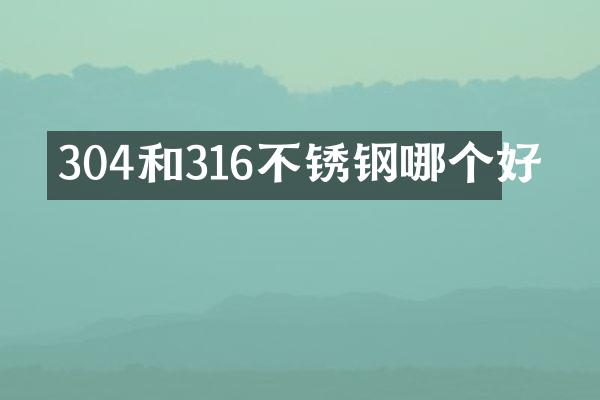 304和316不锈钢哪个好