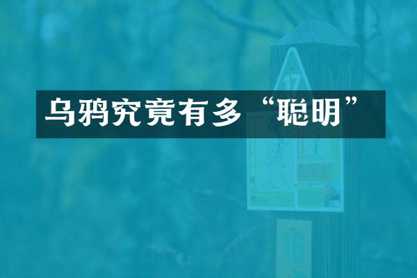 乌鸦究竟有多“聪明”