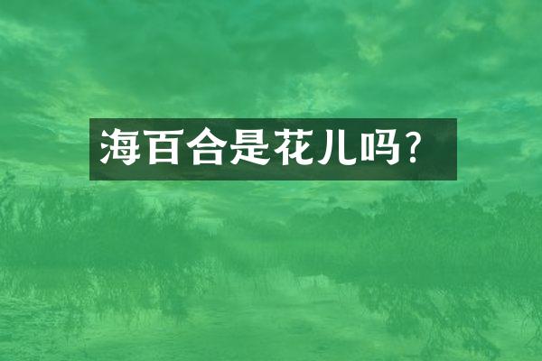 海百合是花儿吗？