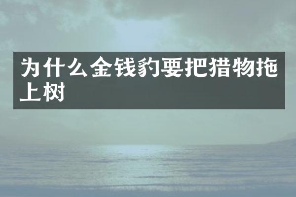 为什么金钱豹要把猎物拖上树