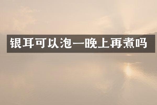 银耳可以泡一晚上再煮吗