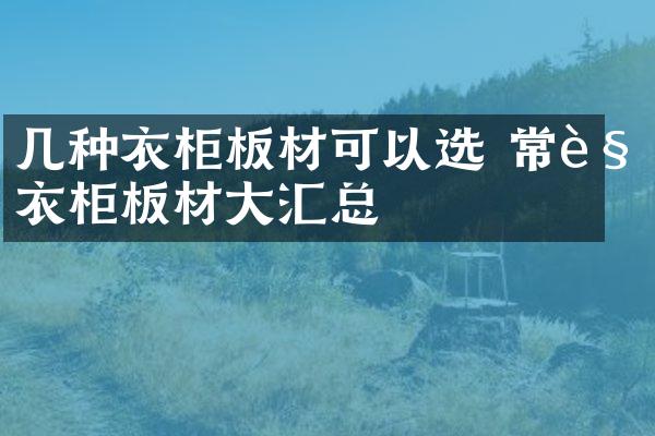 几种衣柜板材可以选 常见衣柜板材大汇总