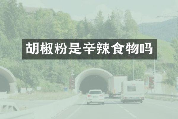 胡椒粉是辛辣食物吗
