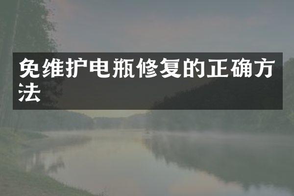 免维护电瓶修复的正确方法