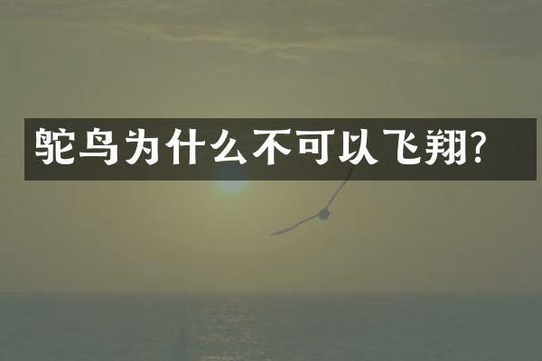 鸵鸟为什么不可以飞翔？