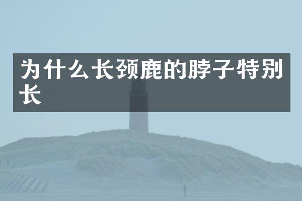 为什么长颈鹿的脖子特别长