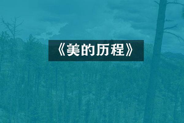 《美的历程》