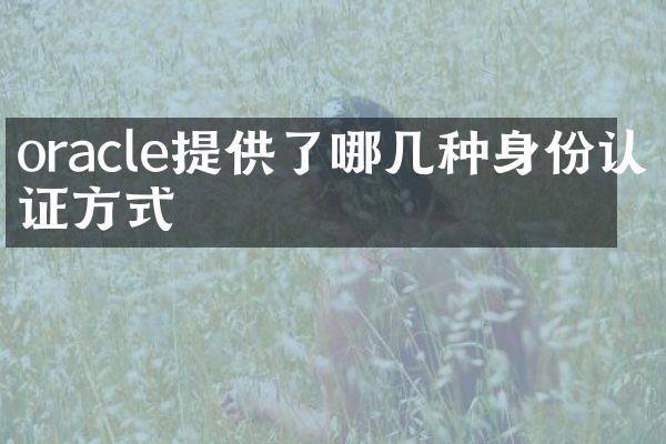 oracle提供了哪几种身份认证方式