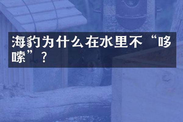 海豹为什么在水里不“哆嗦”？