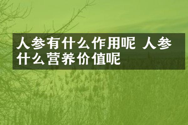 人参有什么作用呢 人参有什么营养价值呢
