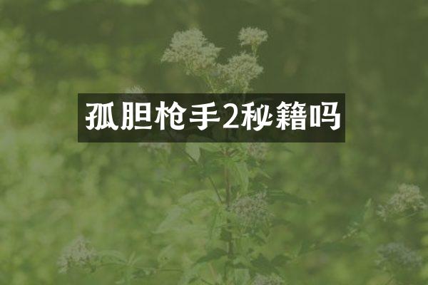 孤胆枪手2秘籍吗