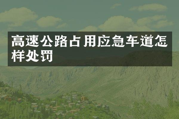 高速公路占用应急车道怎样处罚