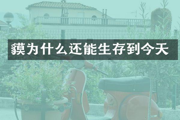 貘为什么还能生存到今天