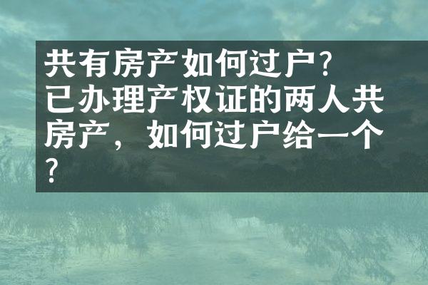 ﻿﻿共有房产如何过户？已办理产权证的两人共有房产，如何过户给一个人？